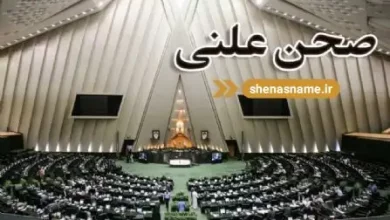 قانون حمایت از گزارشگران فساد نوبت به طرح ساماندهی استخدام کارکنان دولت نرسید ادامه رسیدگی به طرح ساماندهی دستور جلسه امروز چهارشنبه ۵ بهمن