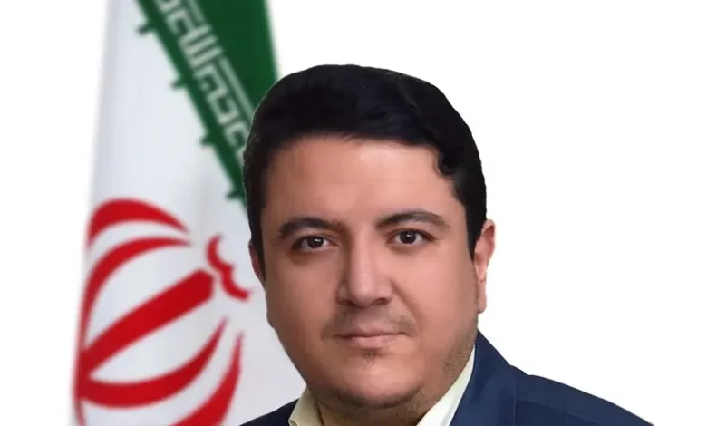 محمد پهلوانی معاون حکمرانی الکترونیک
